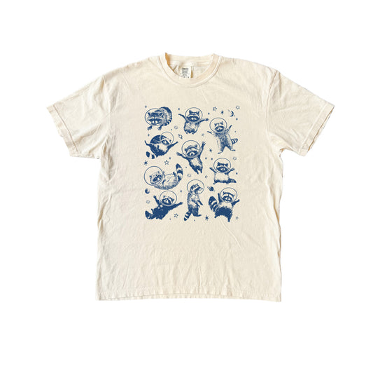 Raccoons In Space T-Shirt