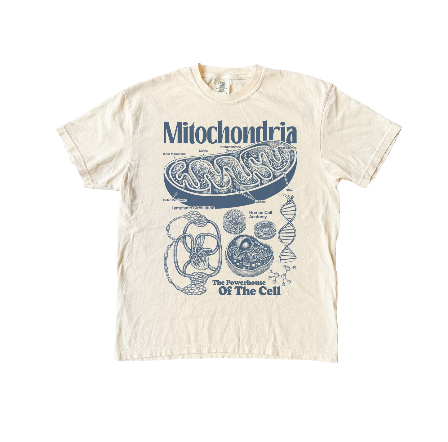 Mitochondria Powerhouse of the Cell T-Shirt