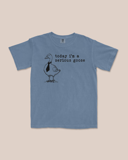 Serious Goose T-Shirt