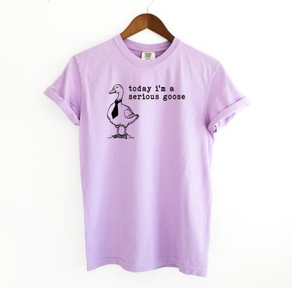 Serious Goose T-Shirt
