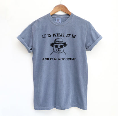 It Is What It Is T-Shirt